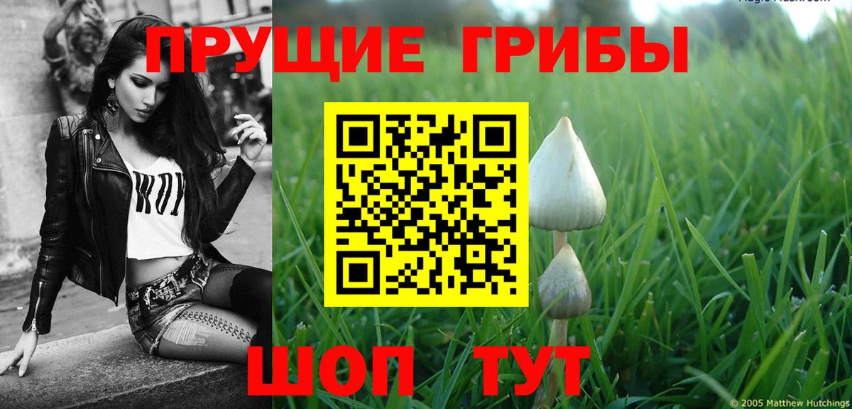 Псилоцибиновые грибы прущие грибы  Псилоцибиновые грибы MAGIC MUSHROOMS  Вход с VPN  Россия 