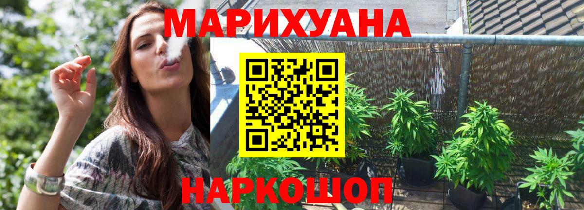 Бошки марихуана конопля Россия